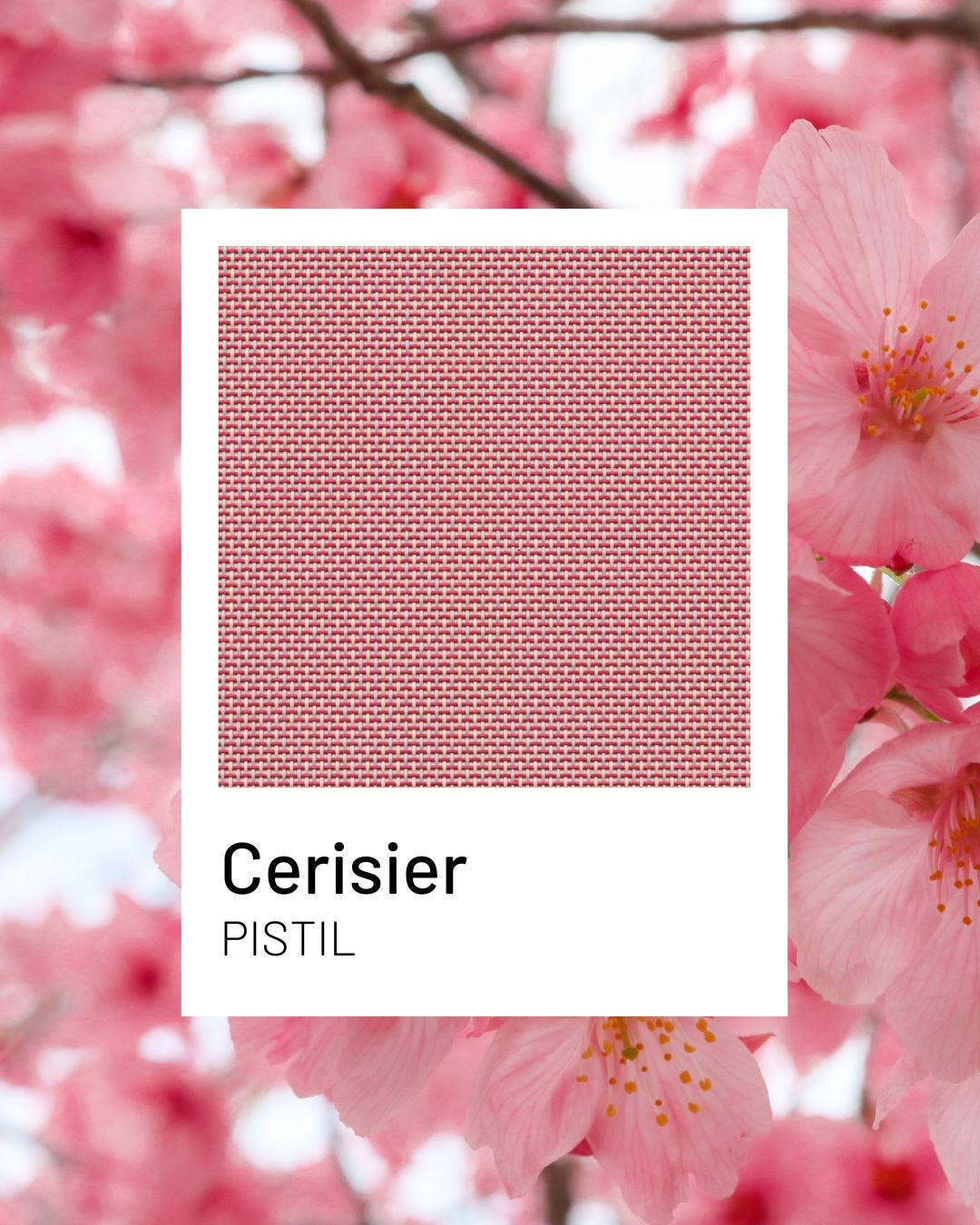 Cerisier, een zachte en warme kleur uit de Pistil collectie van Lafuma Mobilier
