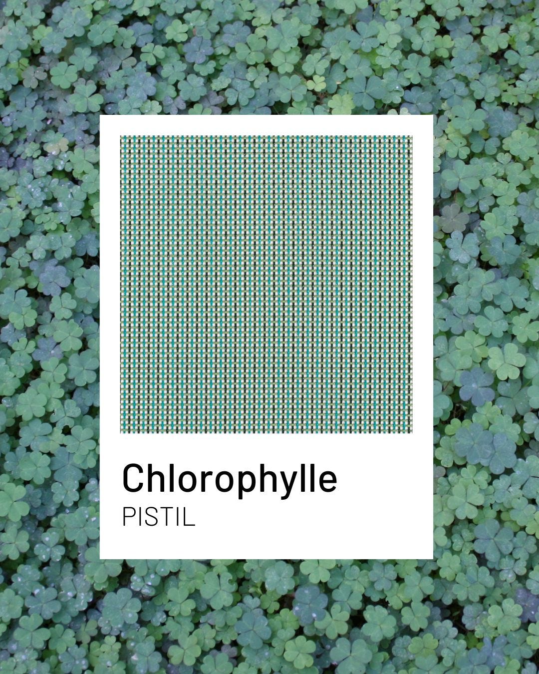 Chlorophylle, een natuurlijke en intense kleur voor je terrassen | Lafuma Mobilier