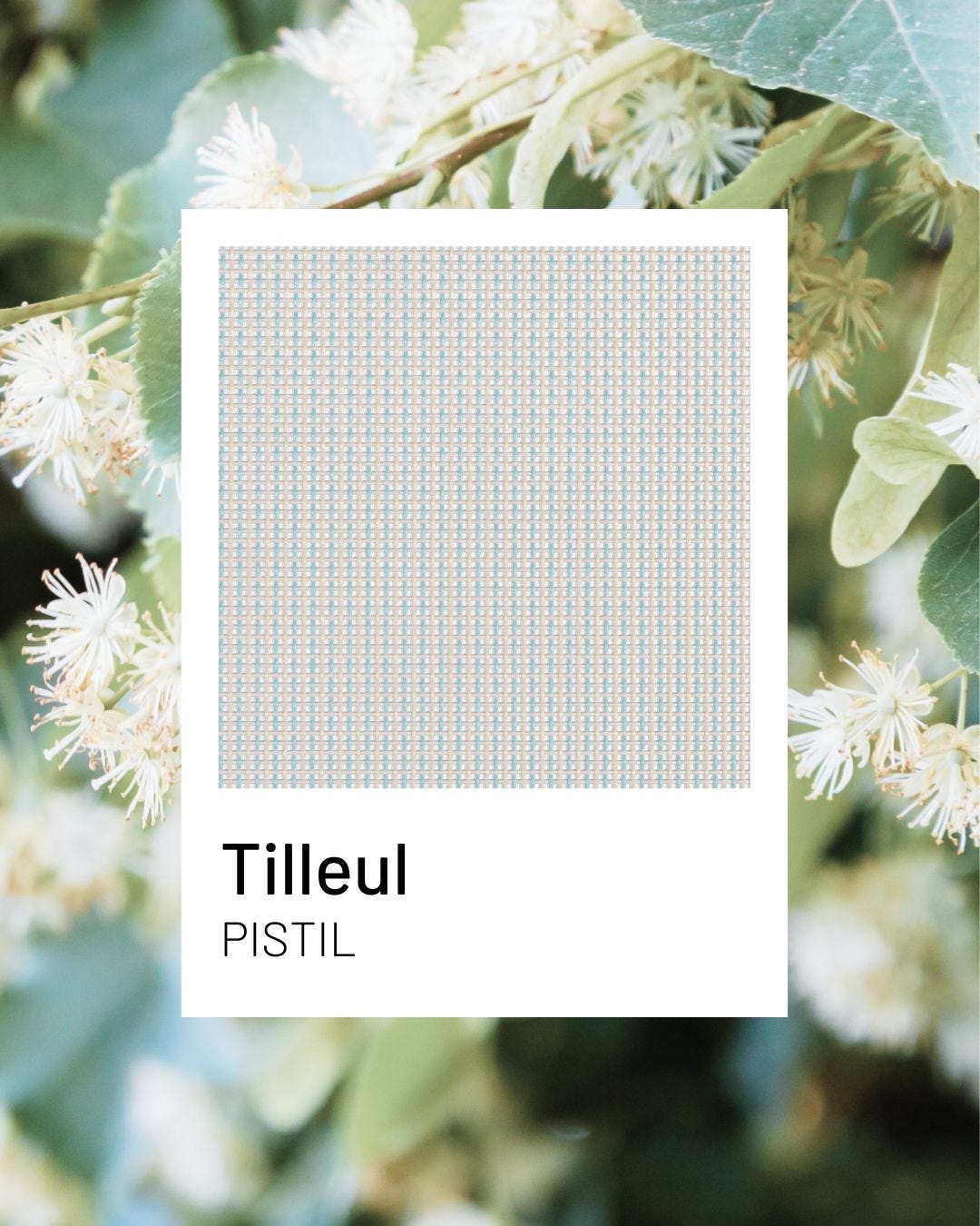 Tilleul, een frisse en rustgevende tint voor duurzaam tuinmeubilair | Lafuma Mobilier